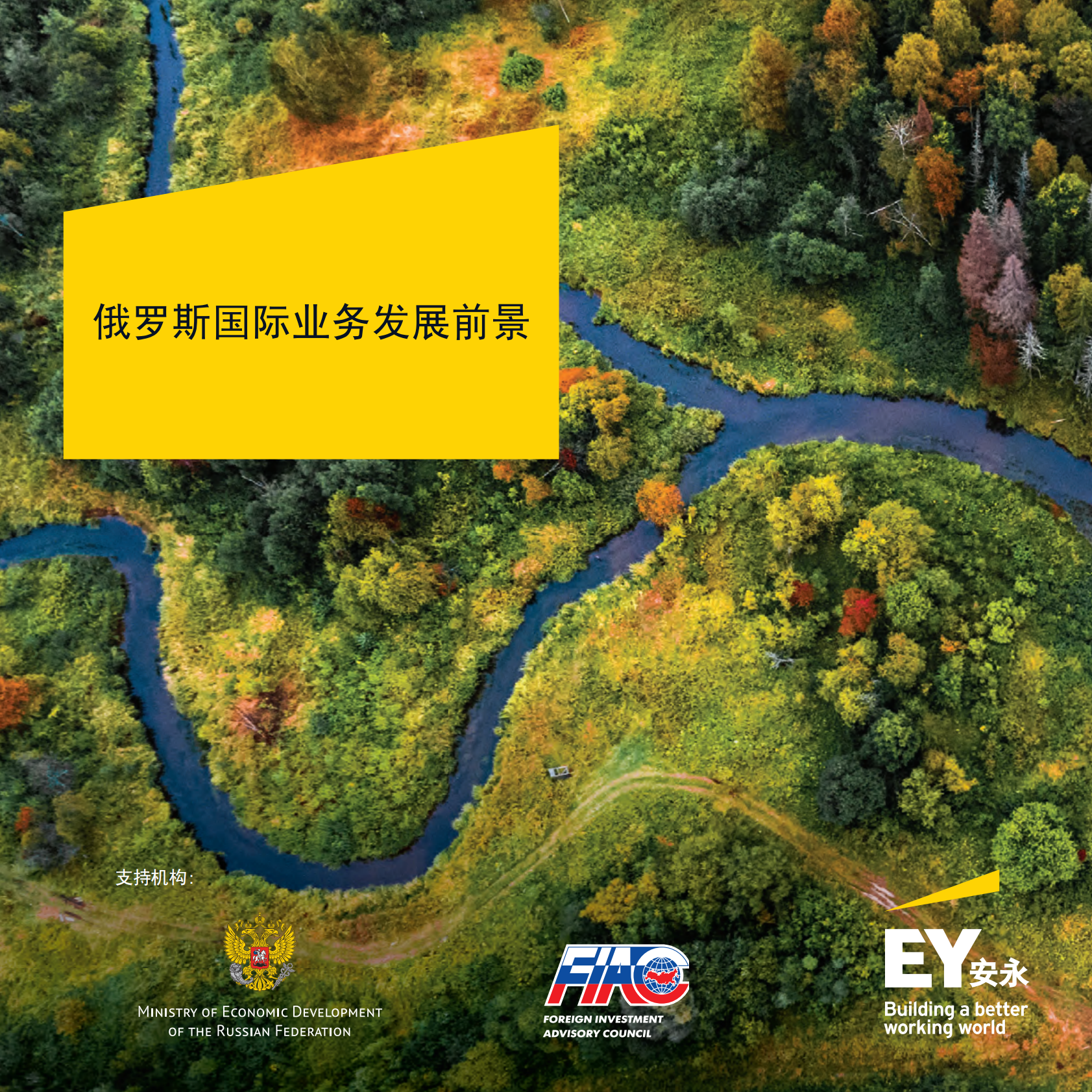 俄罗斯国际业务发展前景.pdf 第1页