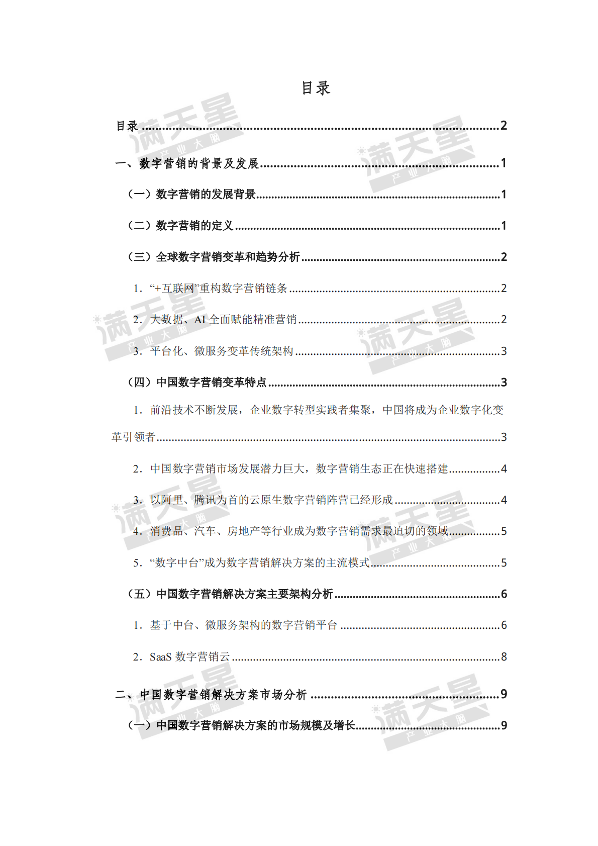 赛迪：2019年中国数字营销解决方案市场白皮书.pdf 第2页