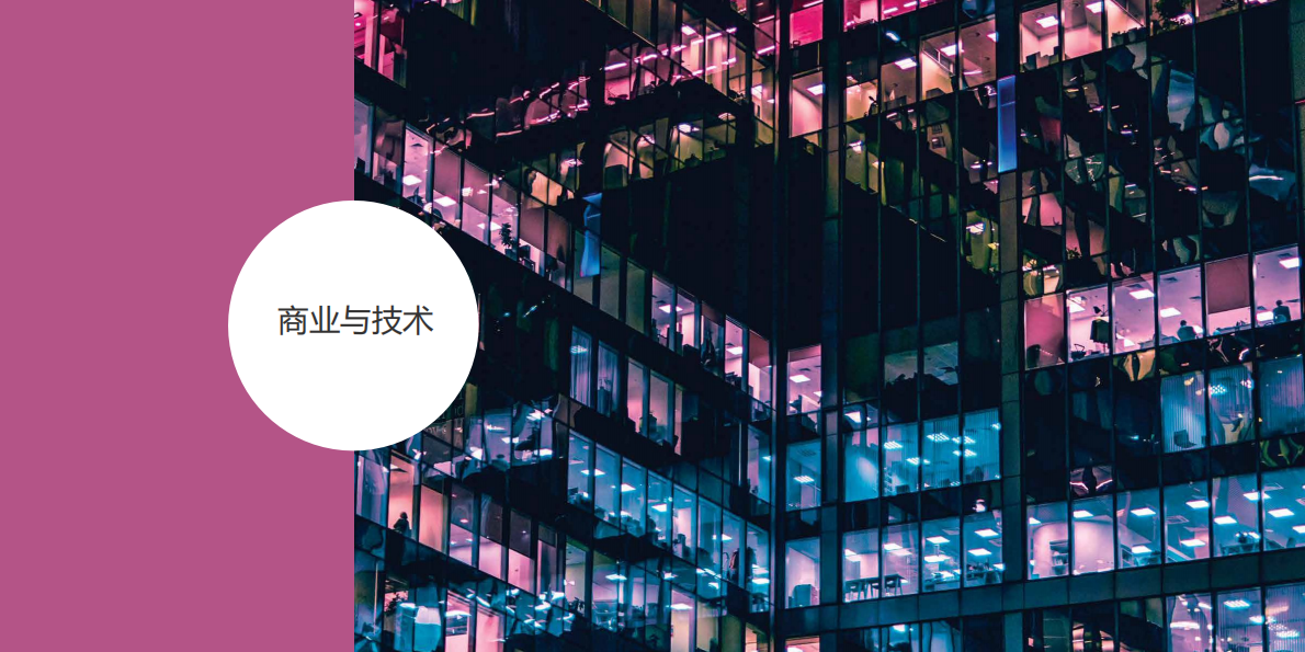 激励型领导者：人才智能时代.pdf 第5页