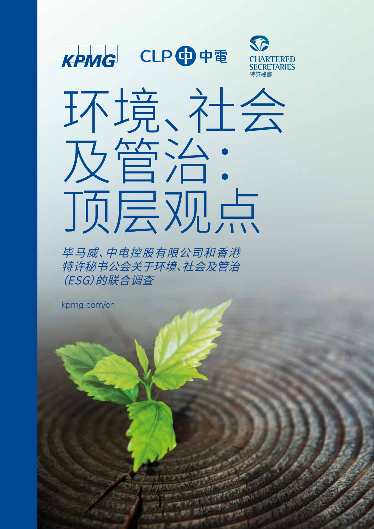 环境、社会及管治：顶层观点.pdf 第1页