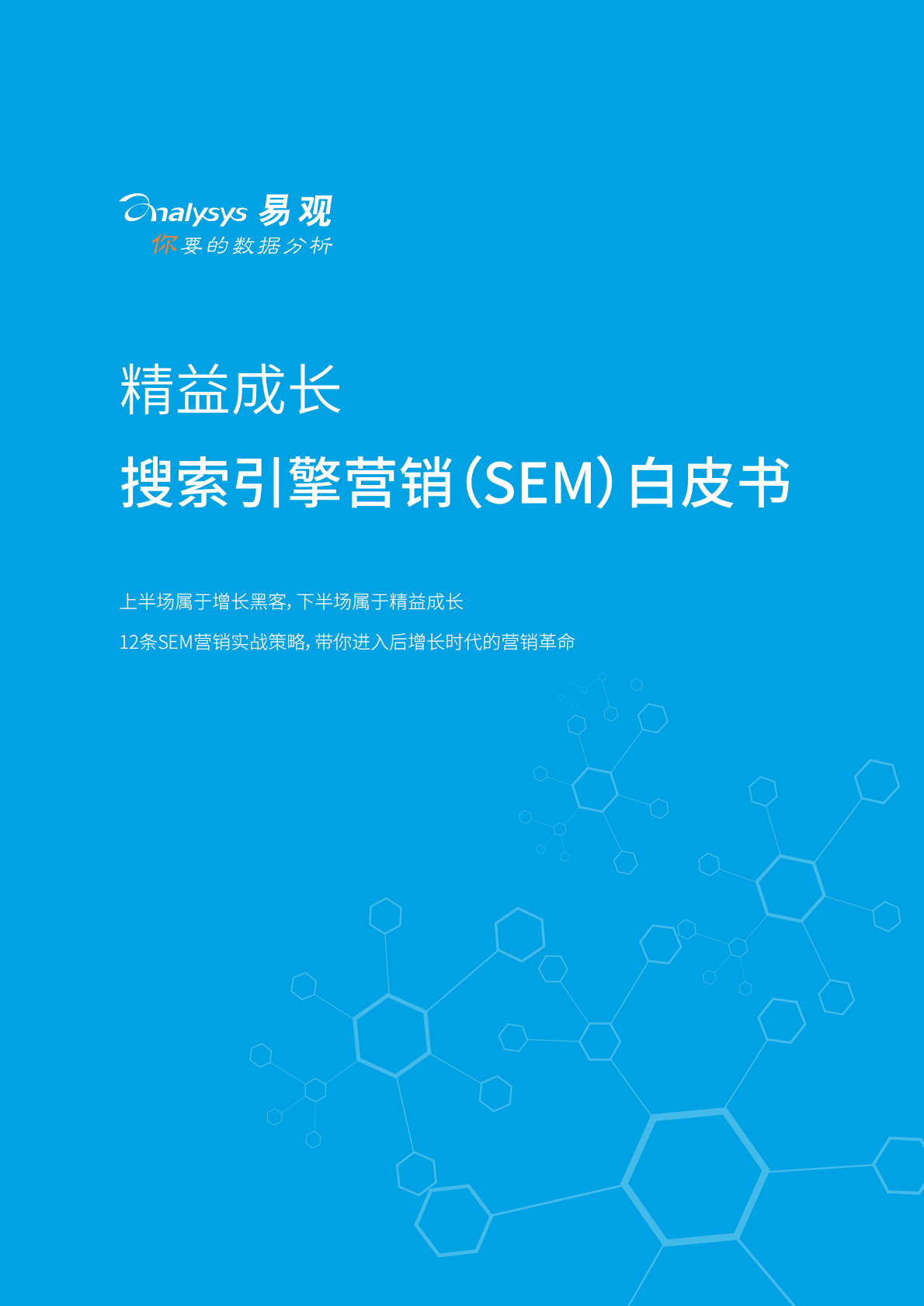 搜索引擎营销（SEM）白皮书.pdf 第1页
