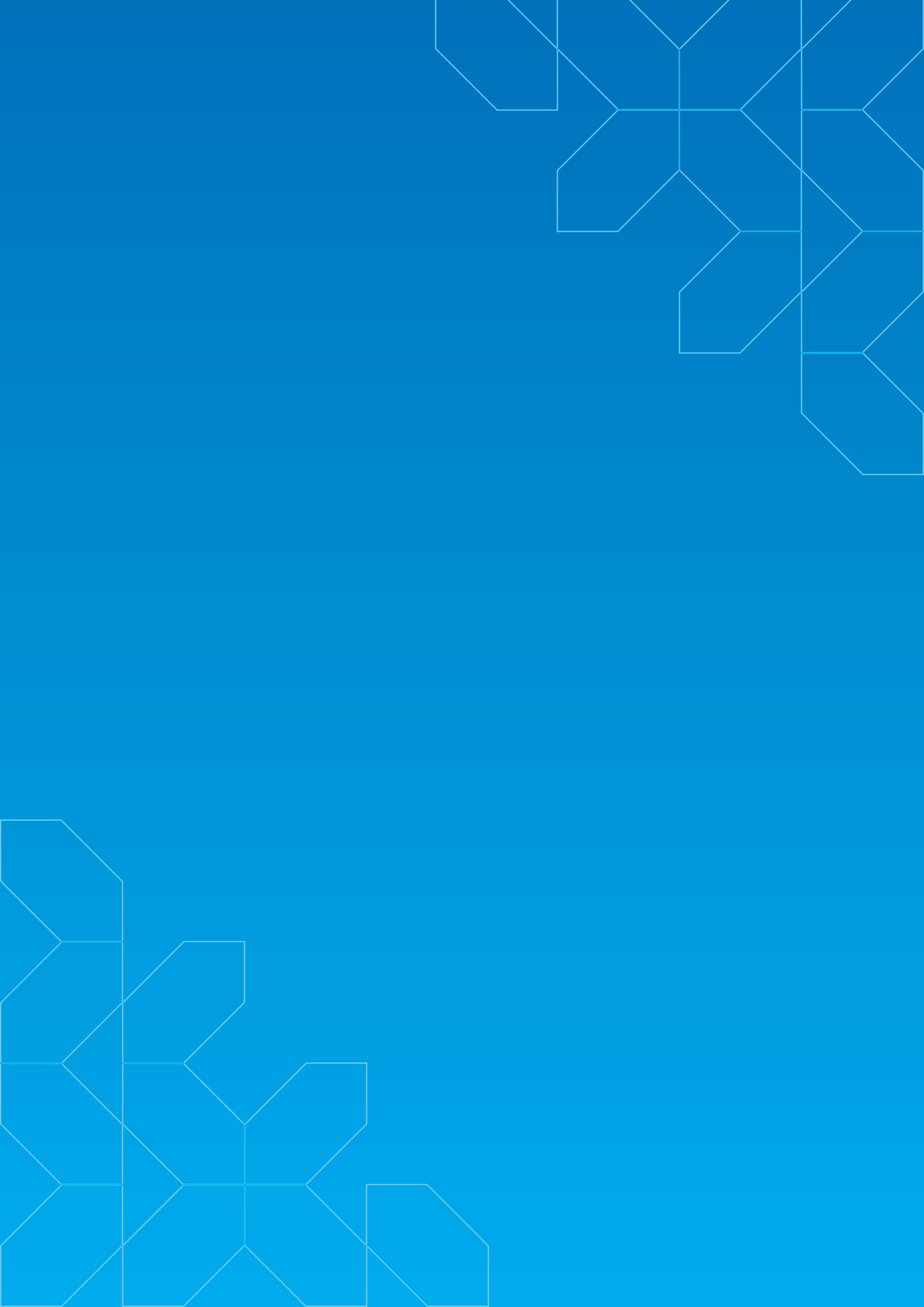 体验营销白皮书.pdf 第2页