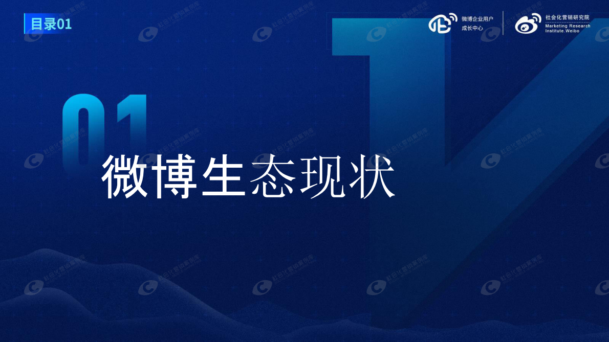 微博企业用户成长中心&社会化营销研究院：2019微博企业蓝V白皮书.pdf 第3页