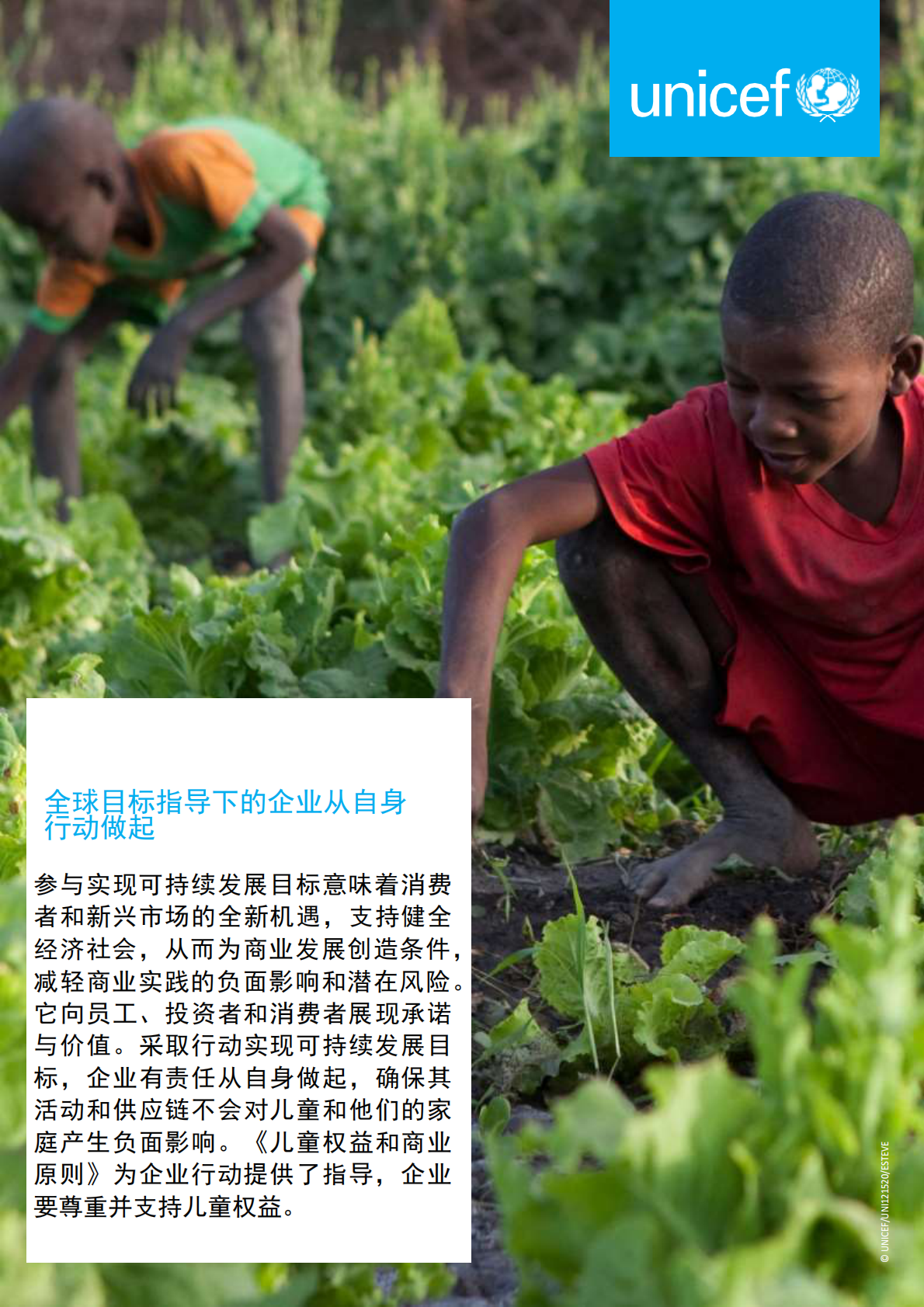 投资儿童发展：可持续发展最为深远的影响.pdf 第4页