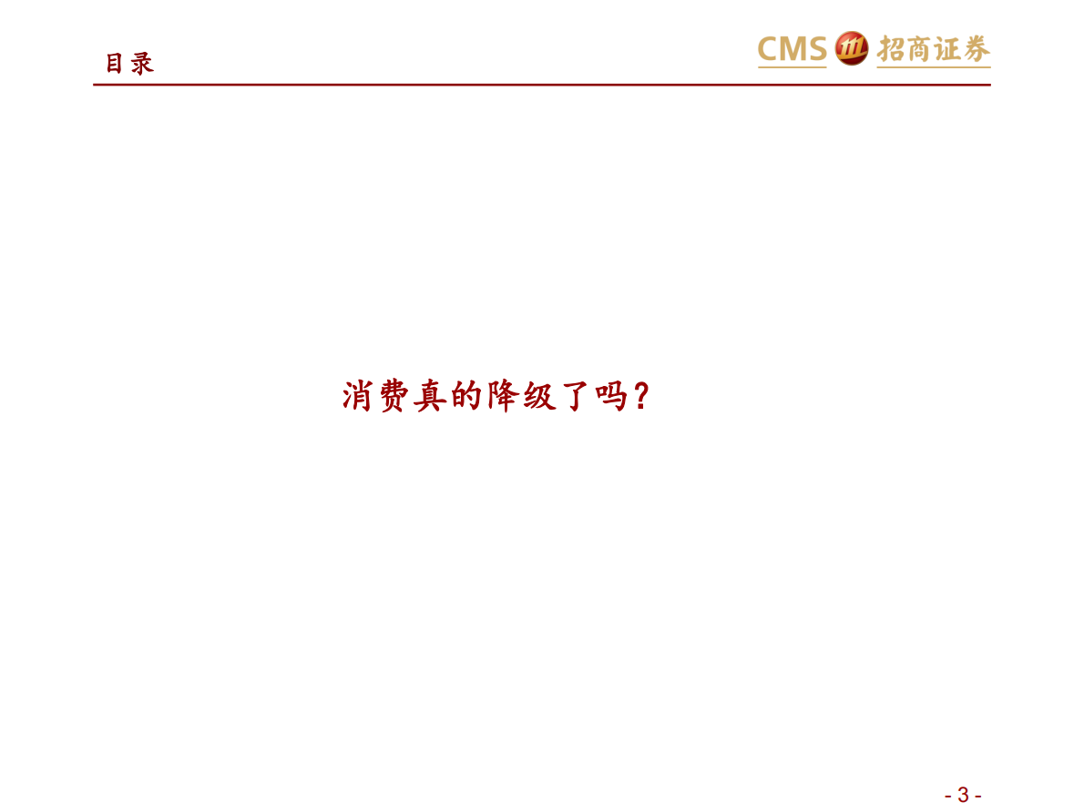 消费真的降级了吗？品牌化才是正解.pdf 第3页