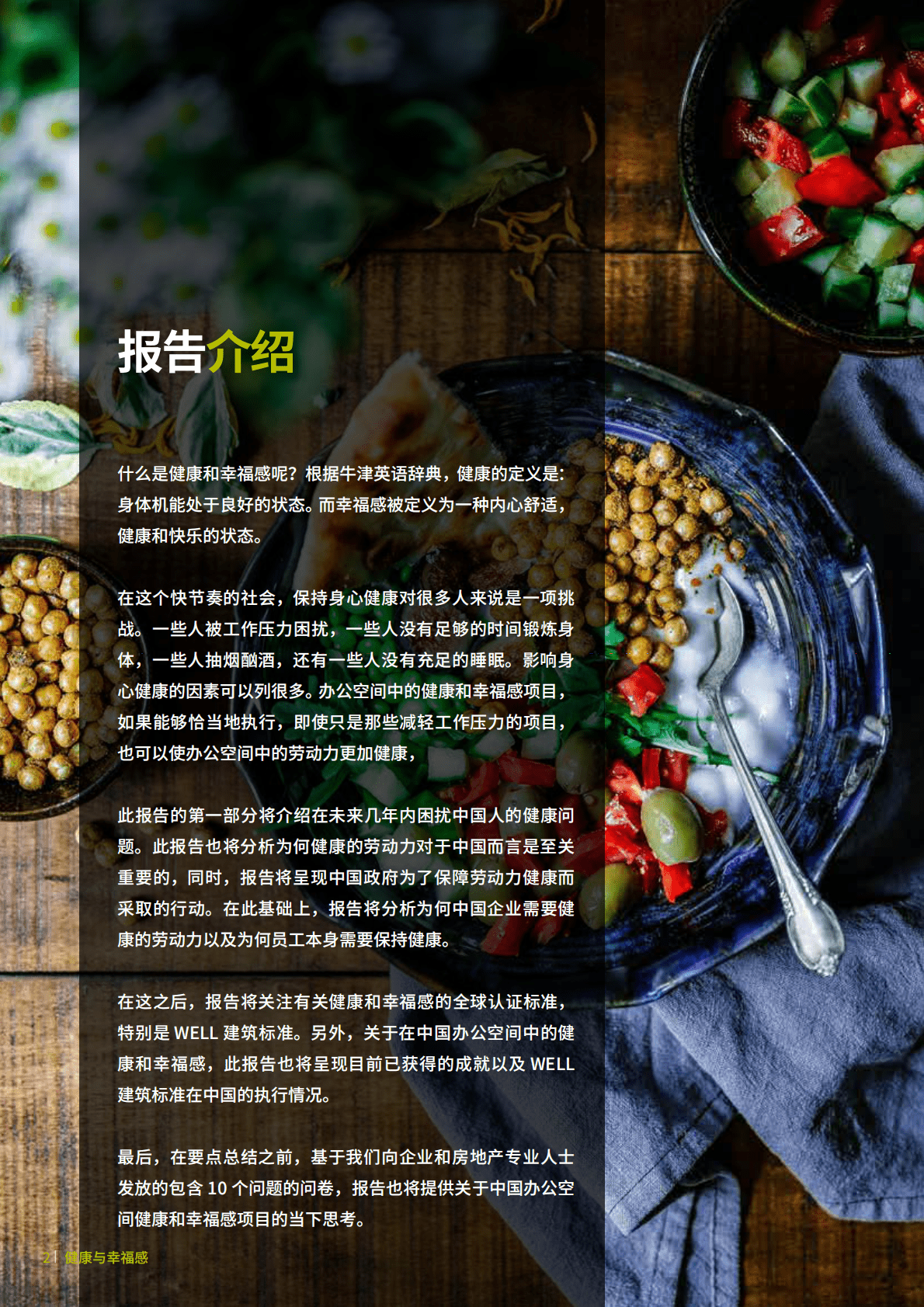 中国的办公室健康与员工幸福感研究.pdf 第4页