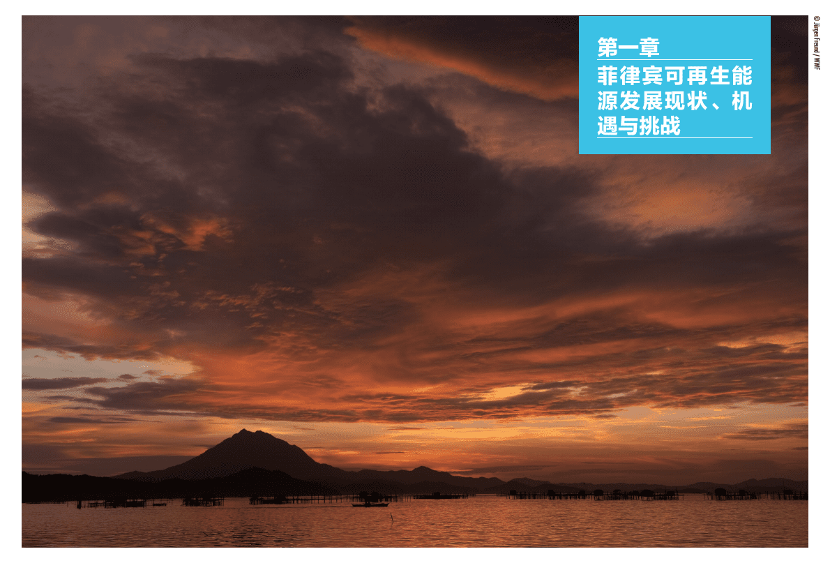 中国可再生能源海外投资的机遇与挑战案例国研究（菲律宾）.pdf 第4页