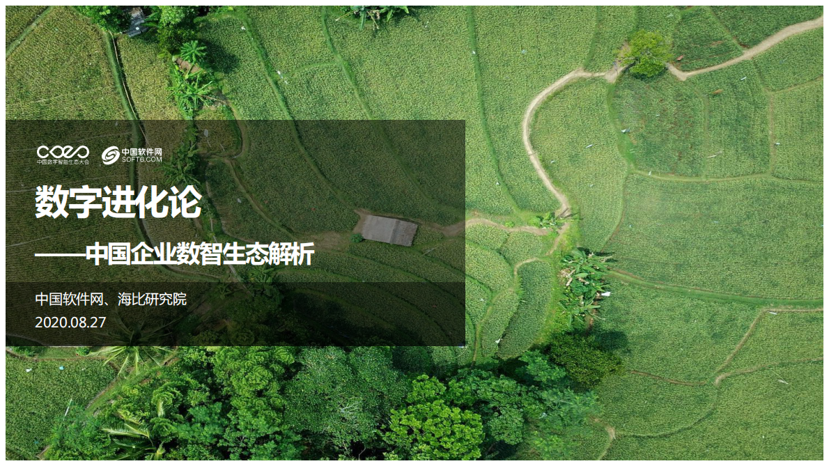 中国软件网：中国企业数智生态解析：数字进化论.pdf 第1页