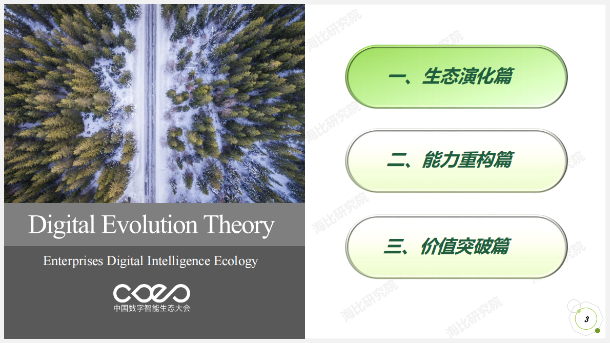 中国软件网：中国企业数智生态解析：数字进化论.pdf 第3页