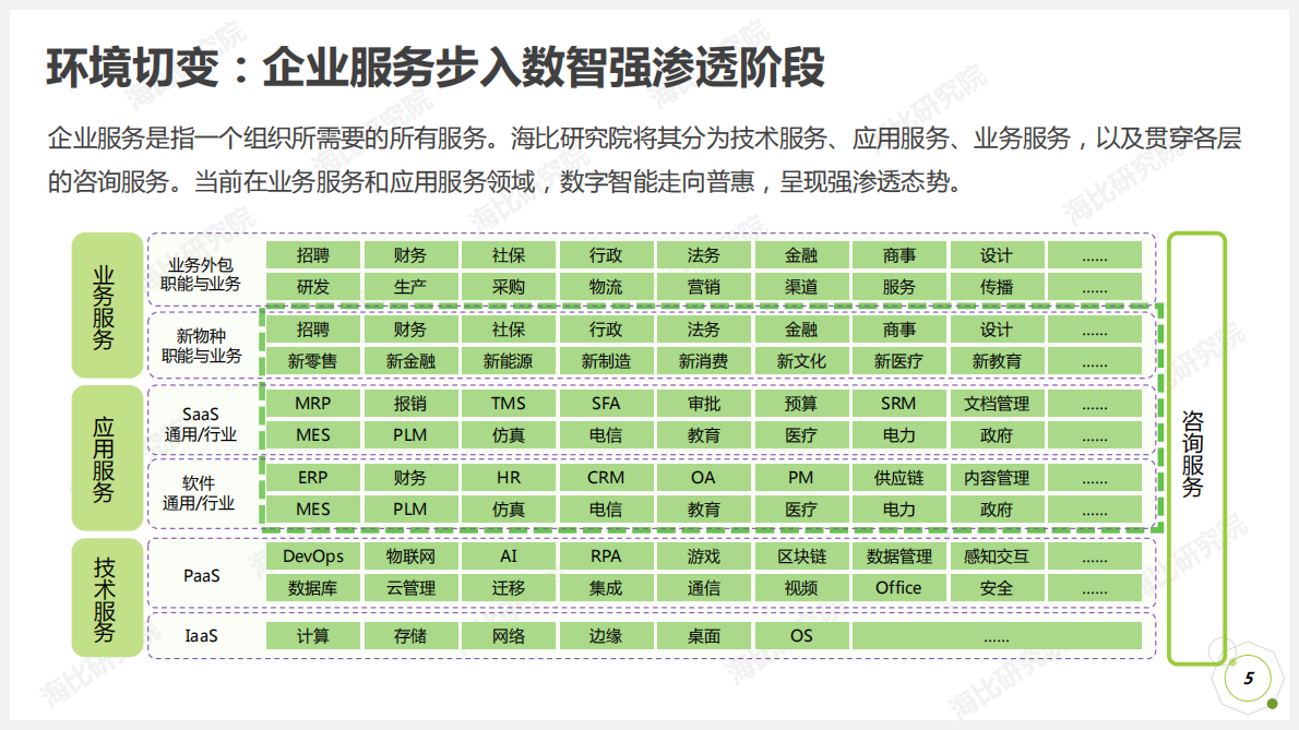 中国软件网：中国企业数智生态解析：数字进化论.pdf 第5页