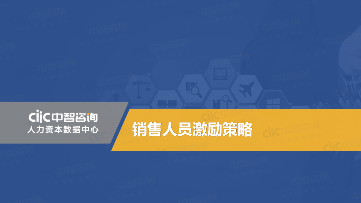 中智咨询：2019年销售人员激励专项调研报告.pdf 第3页