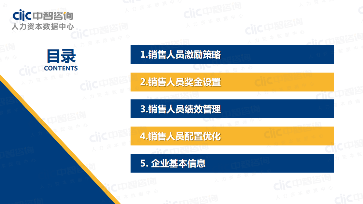 中智咨询：2019年销售人员激励专项调研报告.pdf 第2页