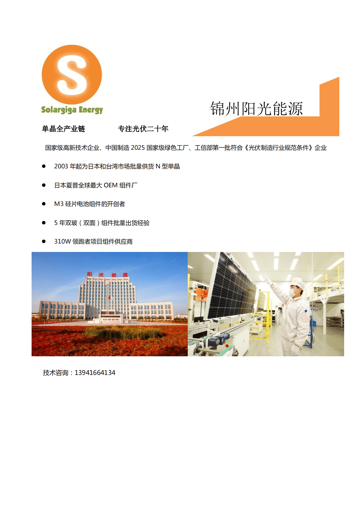 摩尔光伏：异质结(HJT)量产技术报告.pdf 第2页