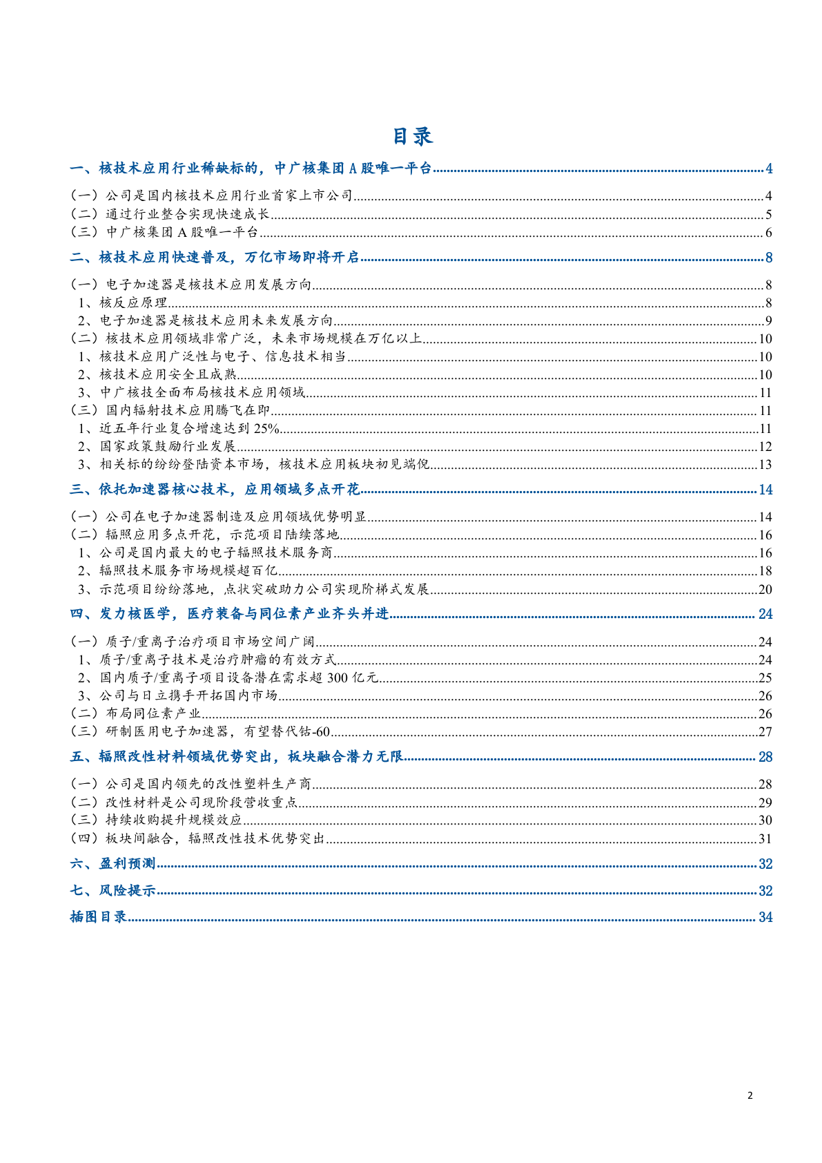 2018年核技术应用行业研究报告.docx 第2页