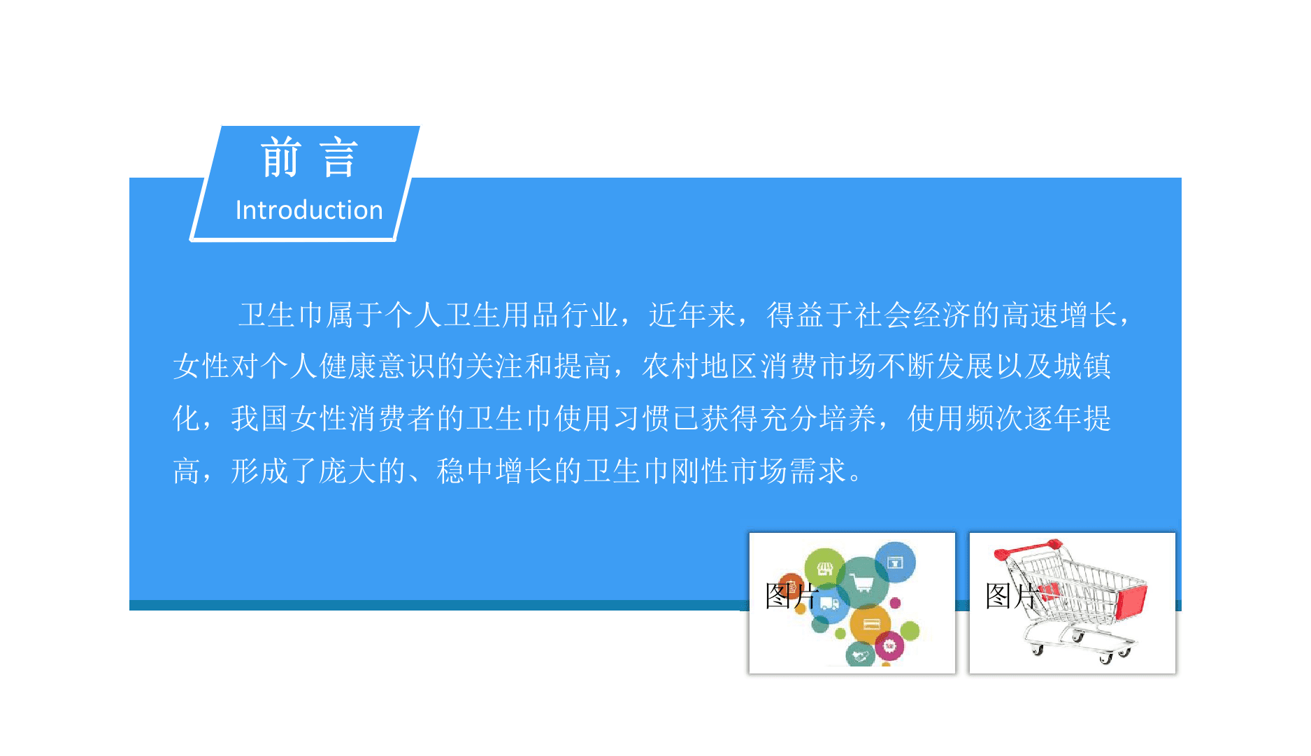 2018中国卫生巾行业市场前景研究报告.docx 第2页