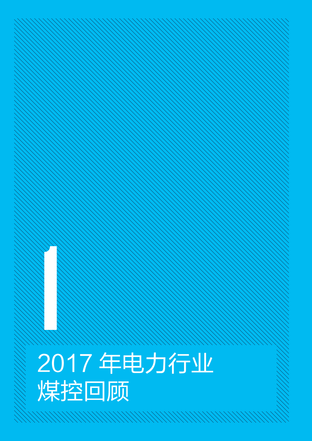 华北电力大学：2018持续推进电力改革，提高可再生能源消纳执行报告.pdf 第4页