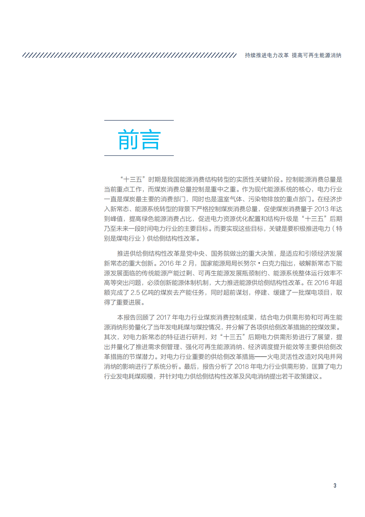 华北电力大学：2018持续推进电力改革，提高可再生能源消纳执行报告.pdf 第3页