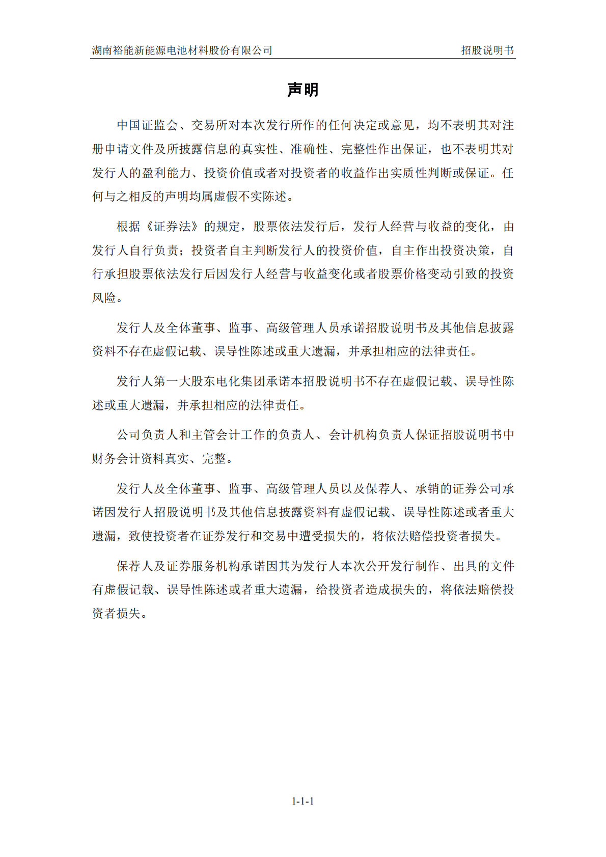 湖南裕能新能源电池材料股份有限公司招股说明书.pdf 第2页