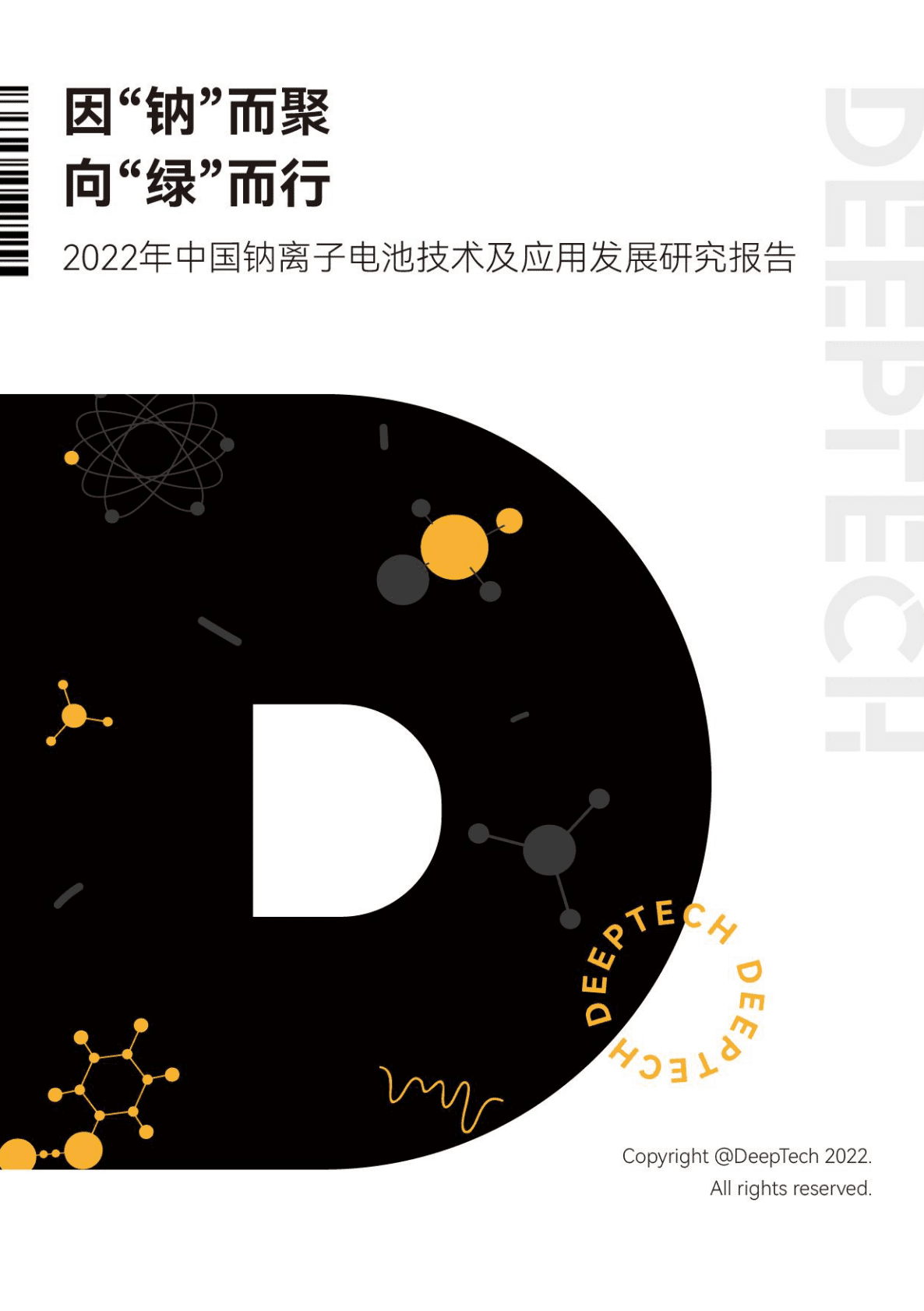DeepTech：2022年中国钠离子电池技术及应用发展研究报告.pdf 第1页