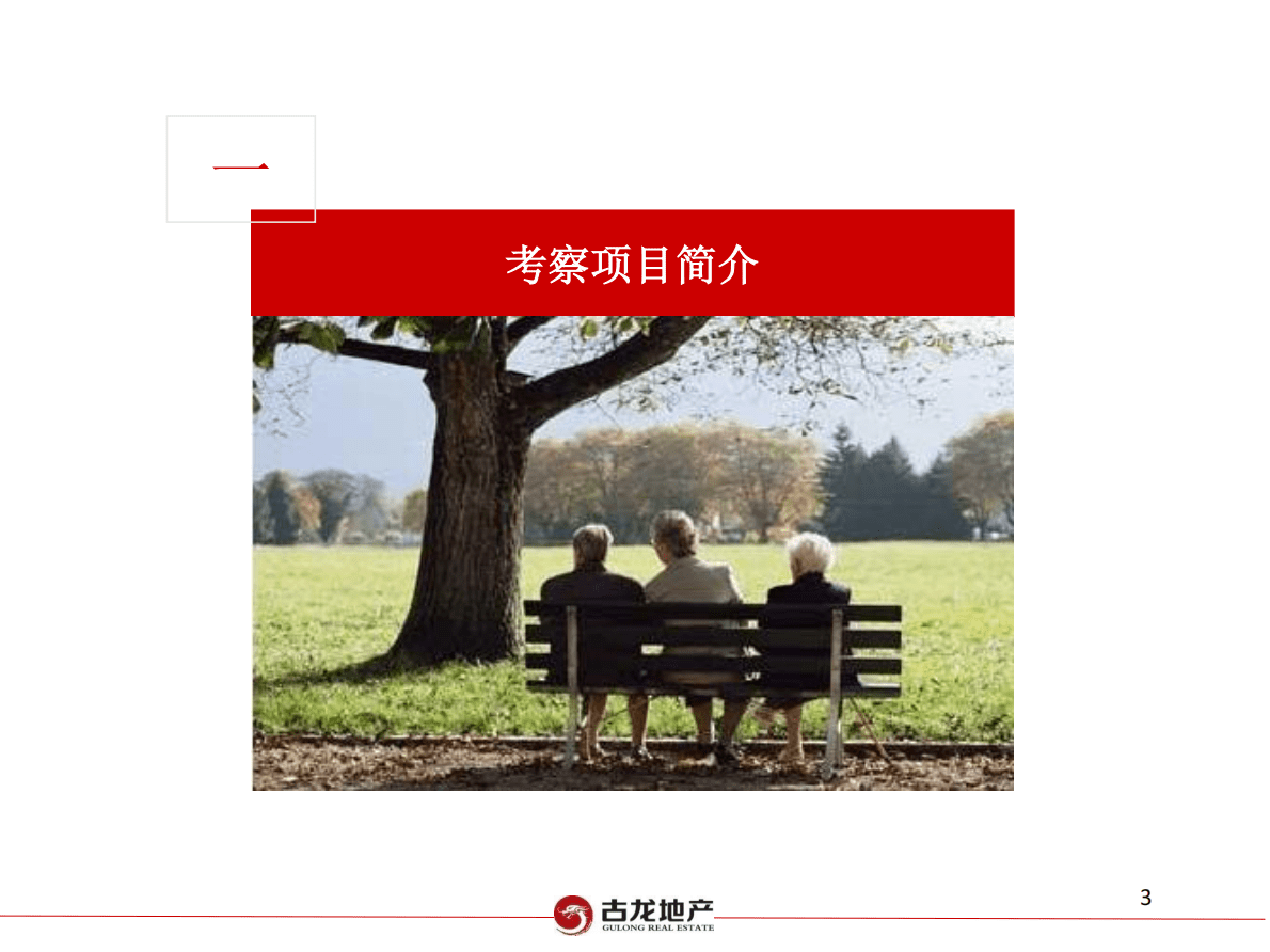 上海、杭州养老地产项目考察调研报告.pdf 第3页