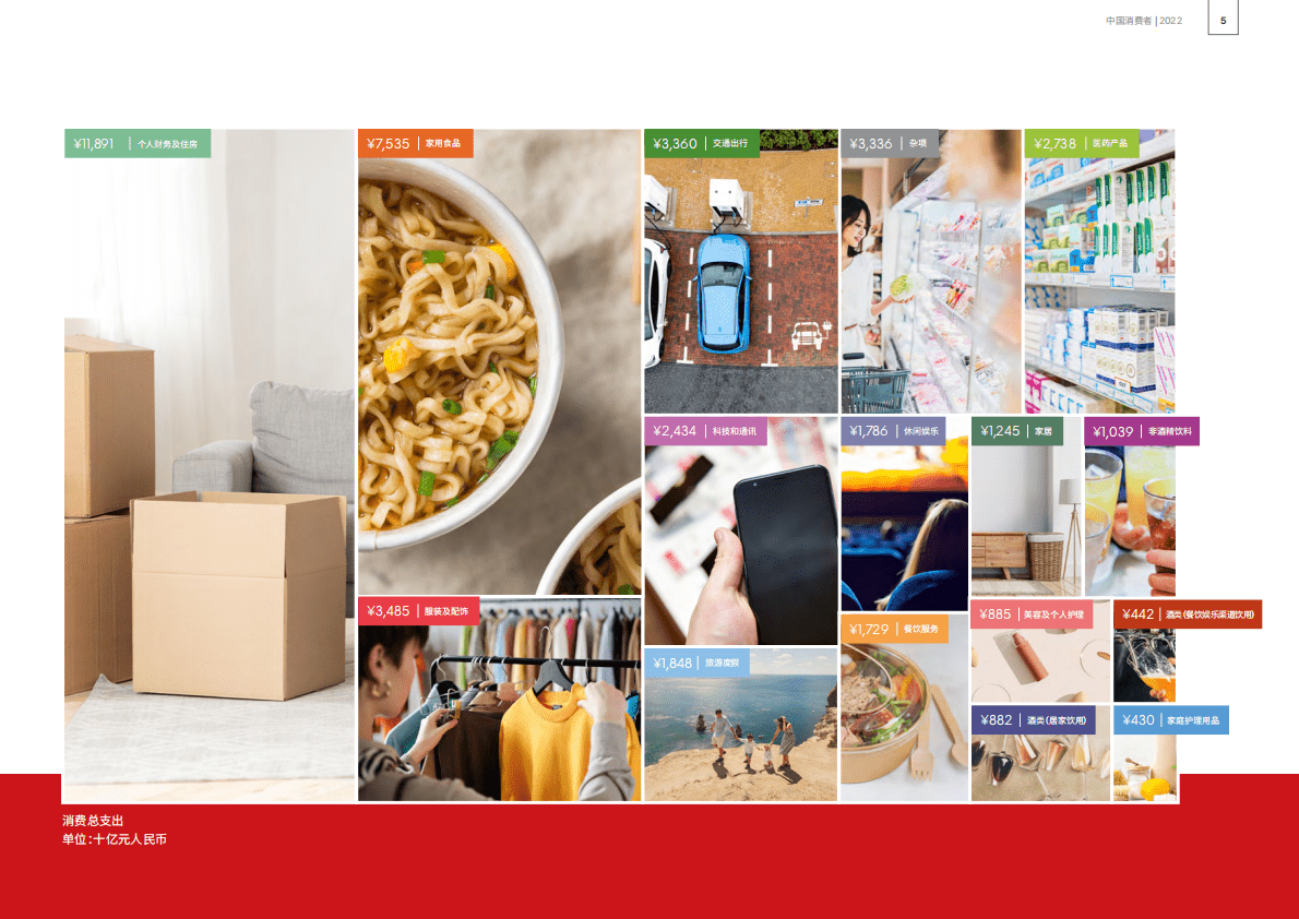 英敏特：2022中国消费者年度报告 第5页