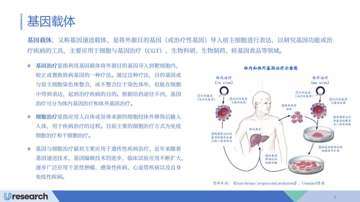Uresearch：2022-2026全球CGT基因载体行业市场研究报告 第5页