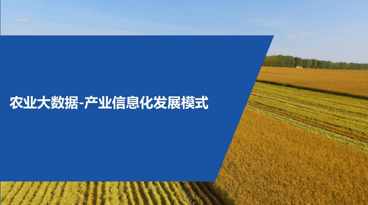 农业大数据：产业信息化发展模式（2022） 第1页