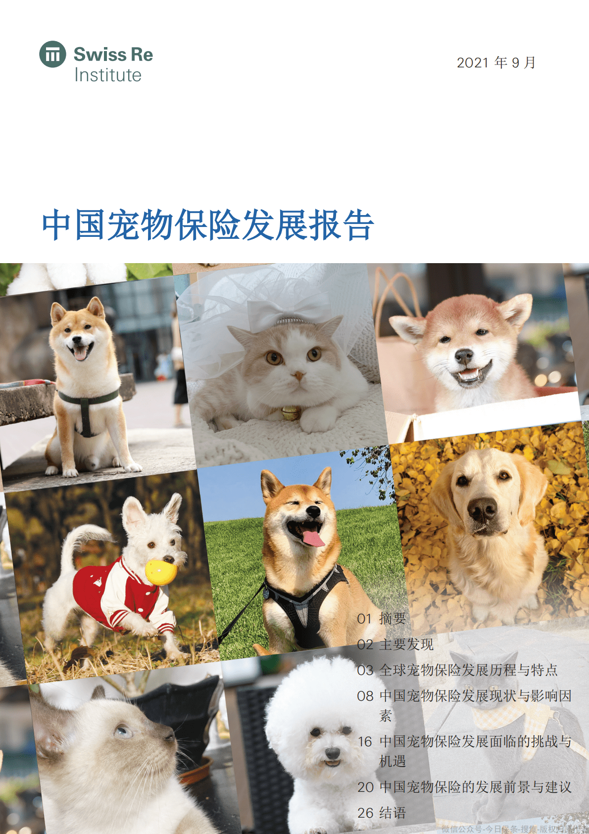 瑞再研究院：中国宠物保险发展报告 第1页