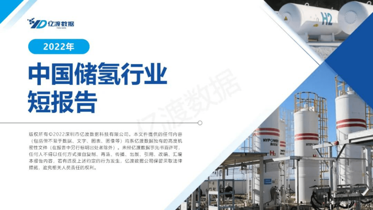 亿渡数据：2022年中国储氢行业短报告 第1页