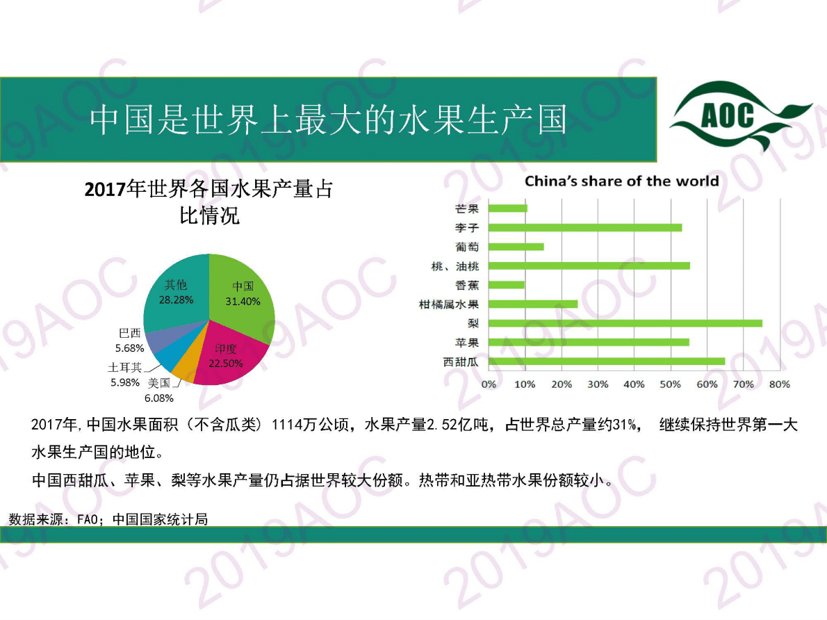 农业科学院：2019-2028中国水果市场展望报告 第3页
