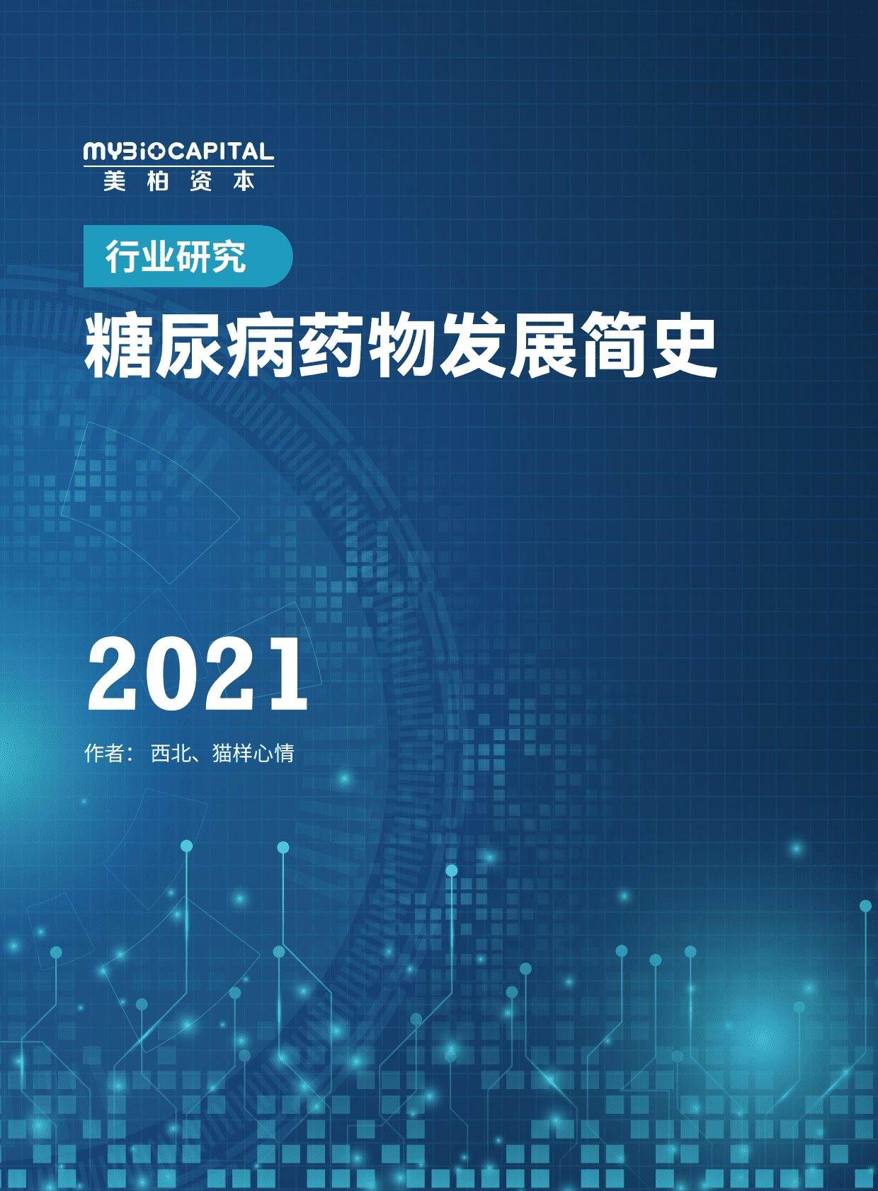 美柏资本：2021糖尿病药物发展简史 第1页