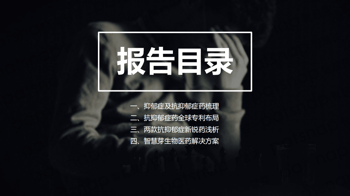 智慧芽：2021抗抑郁症药市场技术洞察报告 第4页