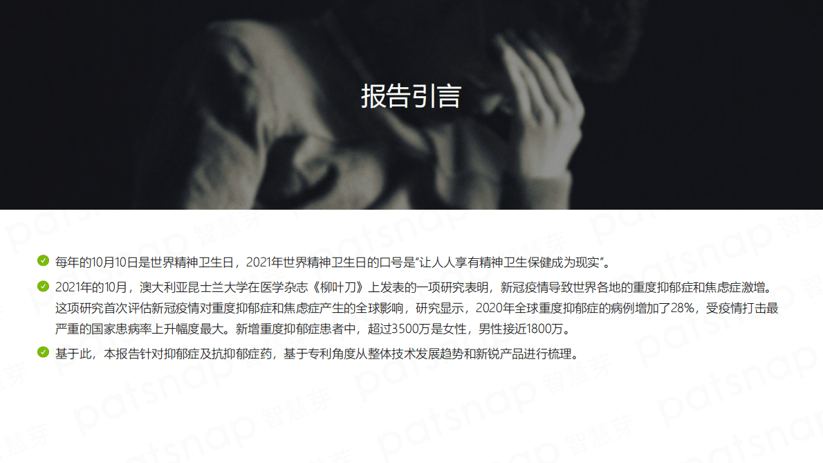 智慧芽：2021抗抑郁症药市场技术洞察报告 第2页