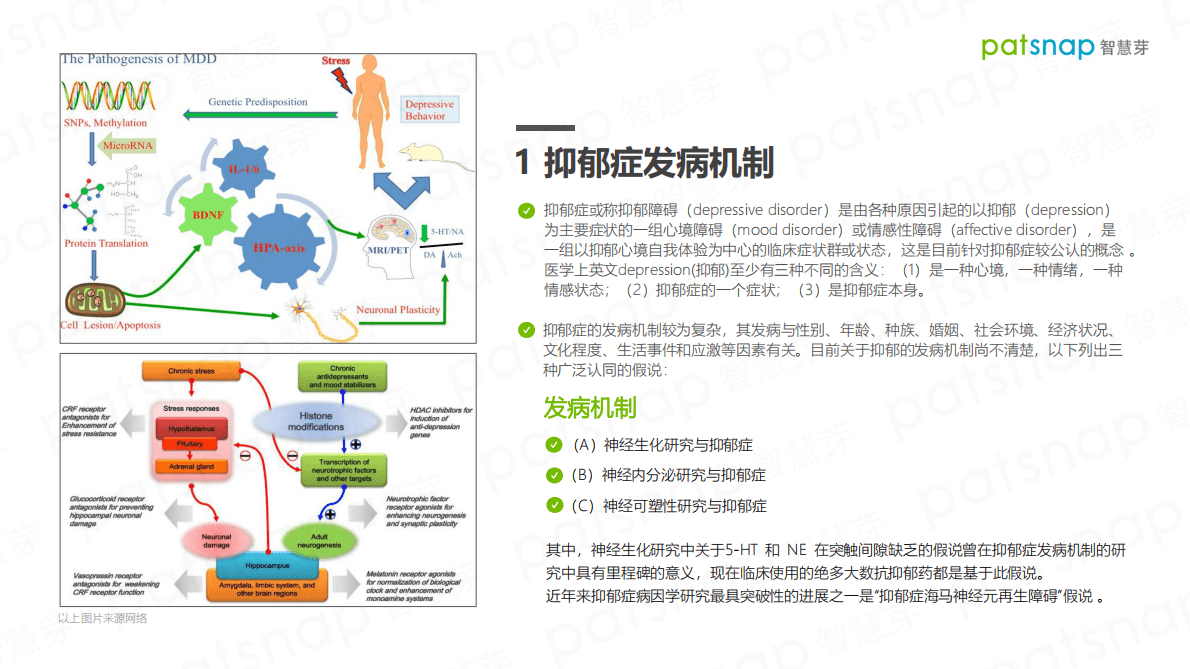 智慧芽：2021抗抑郁症药市场技术洞察报告 第6页