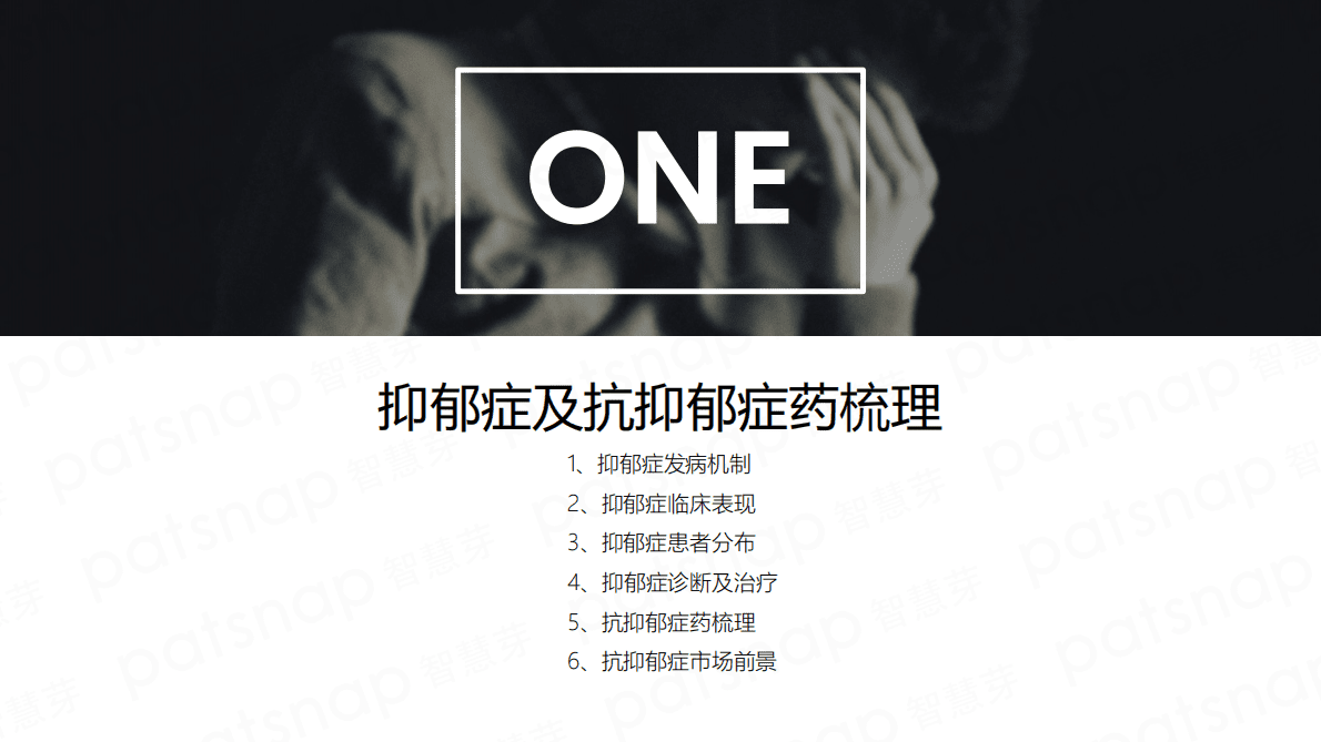 智慧芽：2021抗抑郁症药市场技术洞察报告 第5页