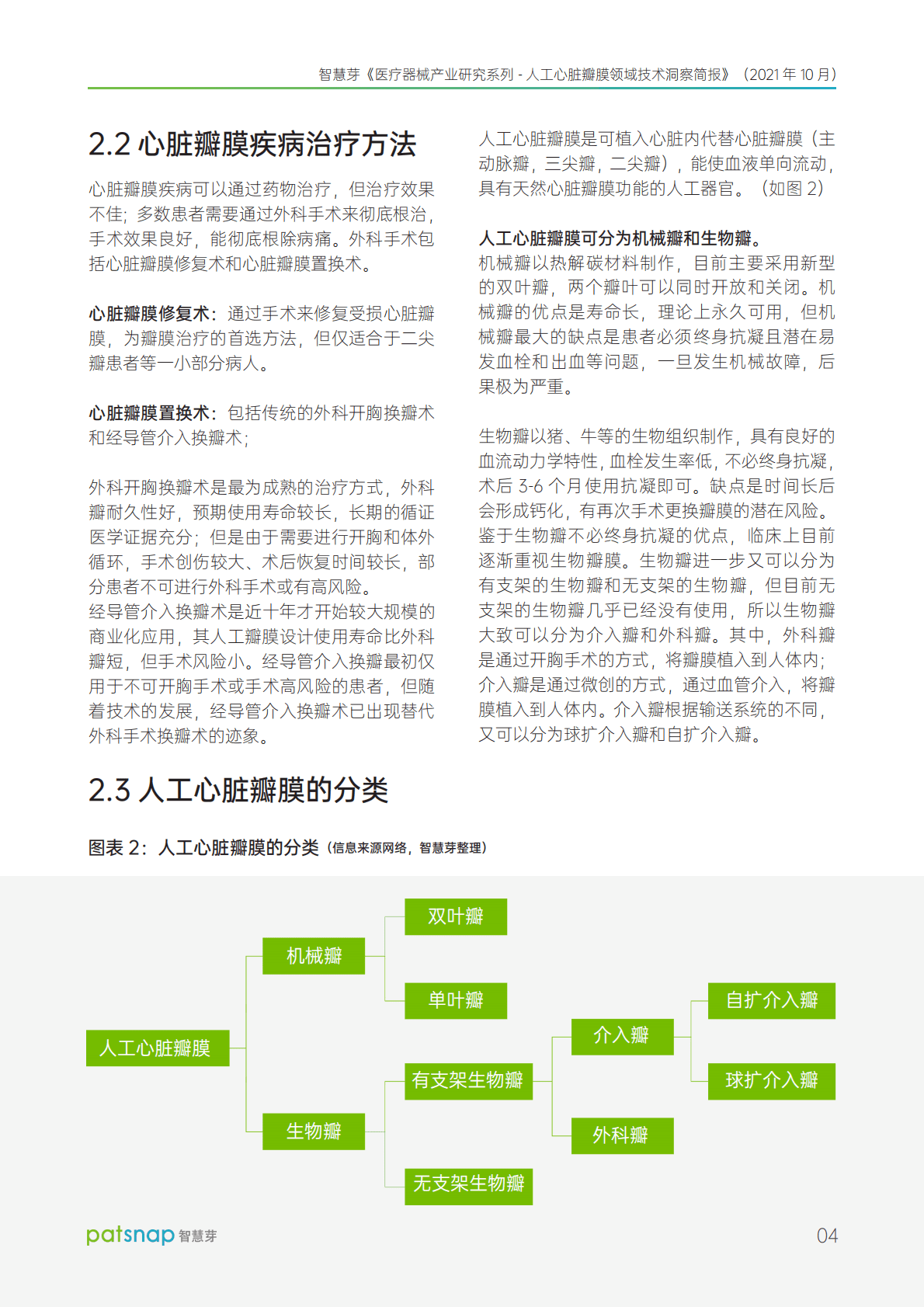 智慧芽：2021人工心脏瓣膜领域技术洞察简报 第5页