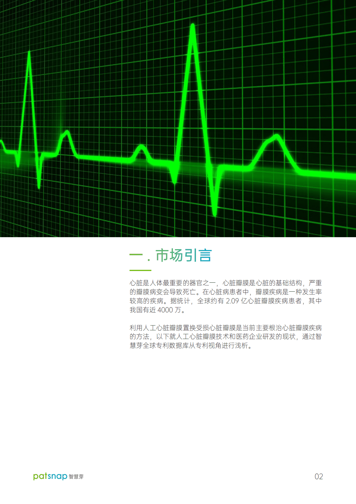 智慧芽：2021人工心脏瓣膜领域技术洞察简报 第3页