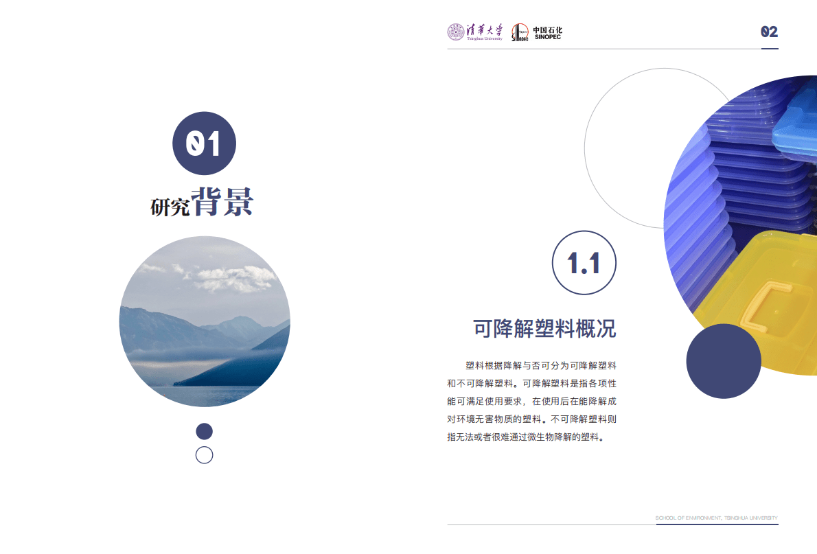 清华大学&中国石化：可降解塑料的环境影响评价与政策支撑研究项目报告 第4页