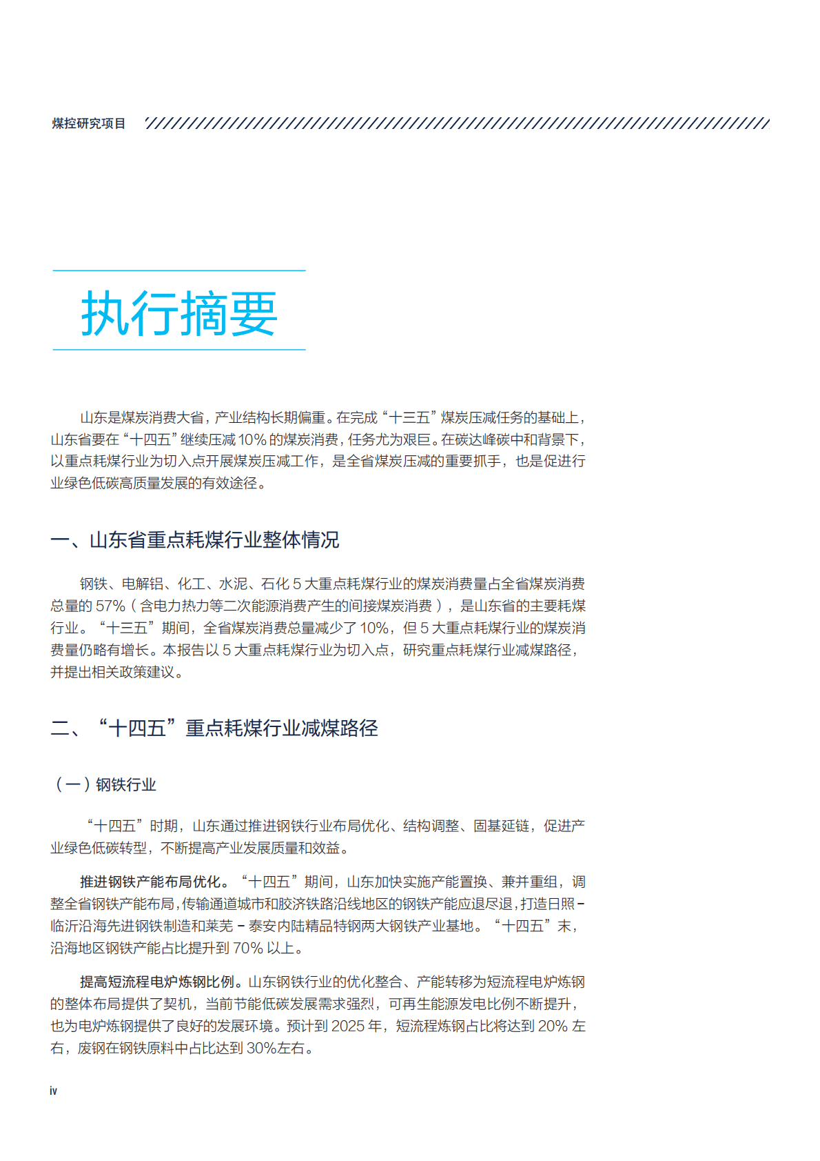 自然资源保护协会：山东省“十四五”重点耗煤行业减煤路径研究 第6页