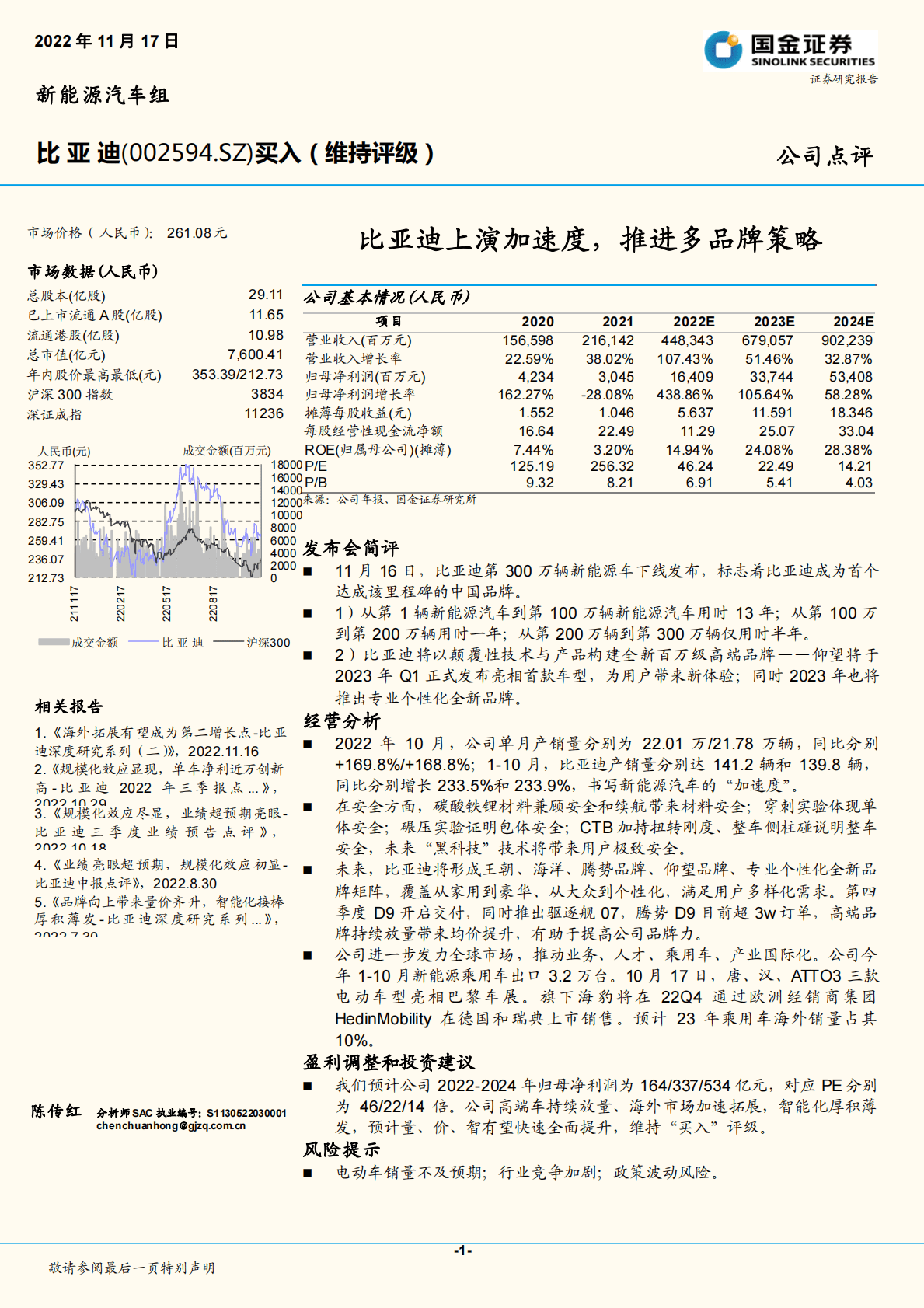 比亚迪上演加速度，推进多品牌策略 第1页