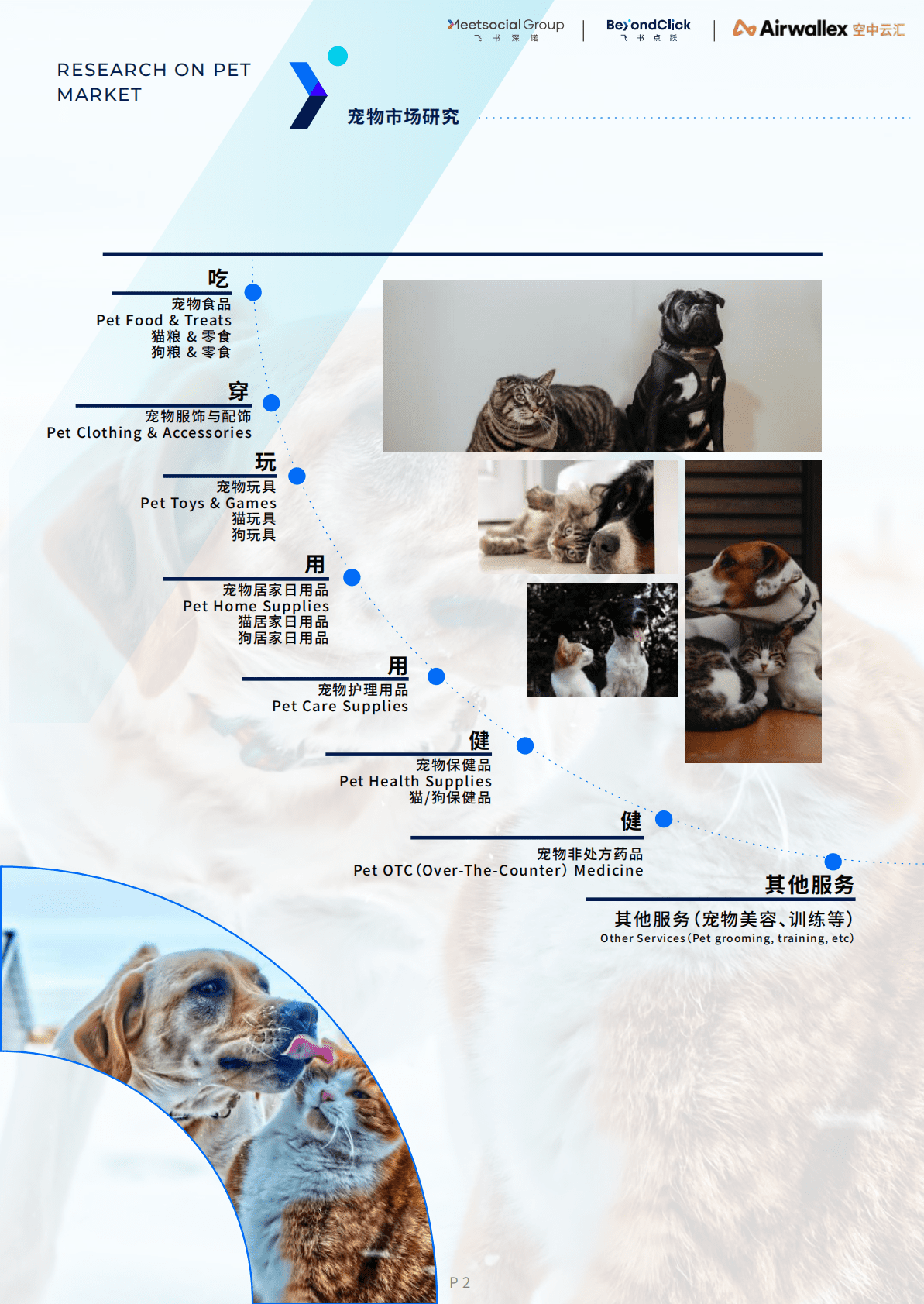 飞书深诺：2022全球宠物市场白皮书 第6页
