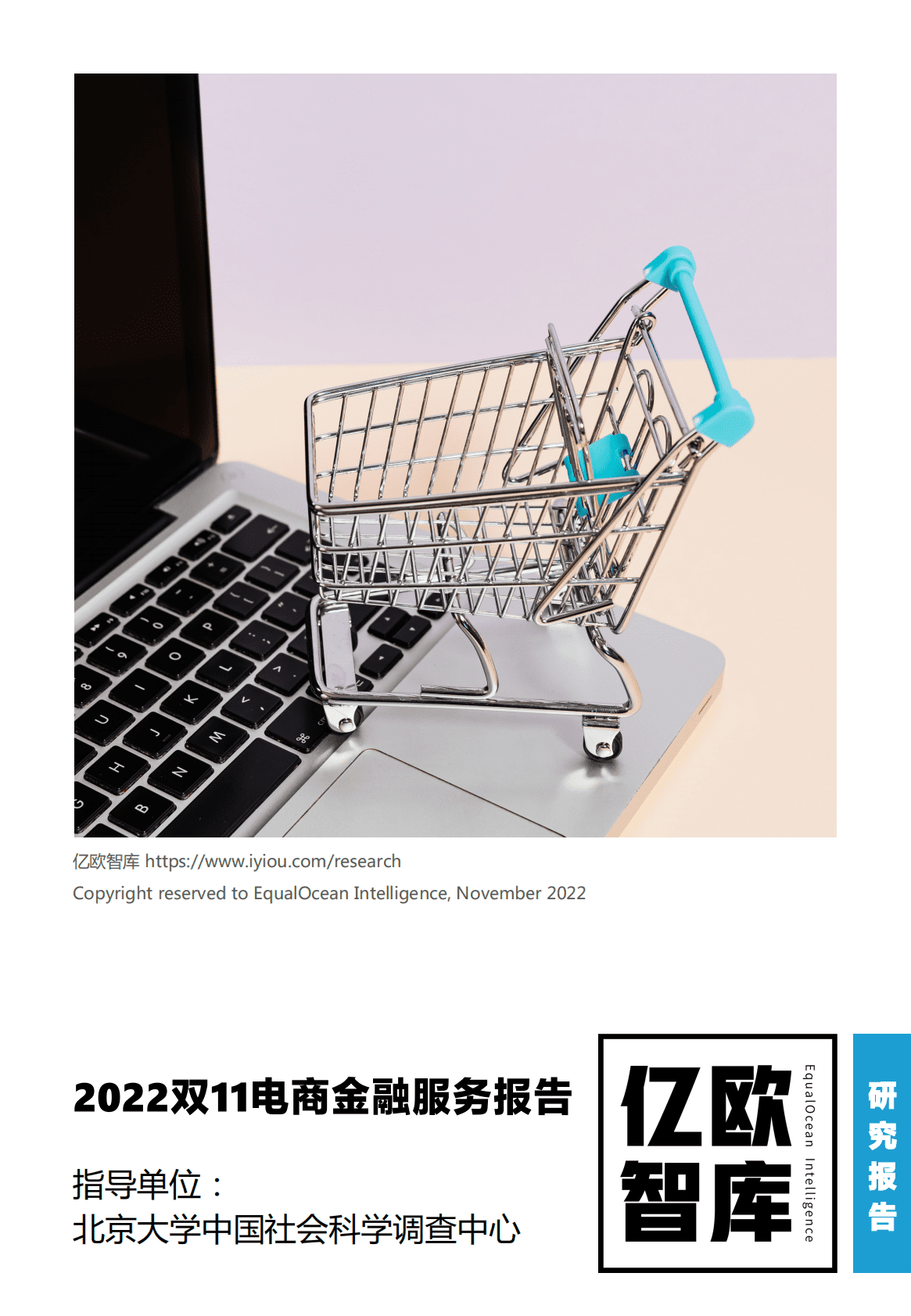 2022双11电商金融服务报告 第1页