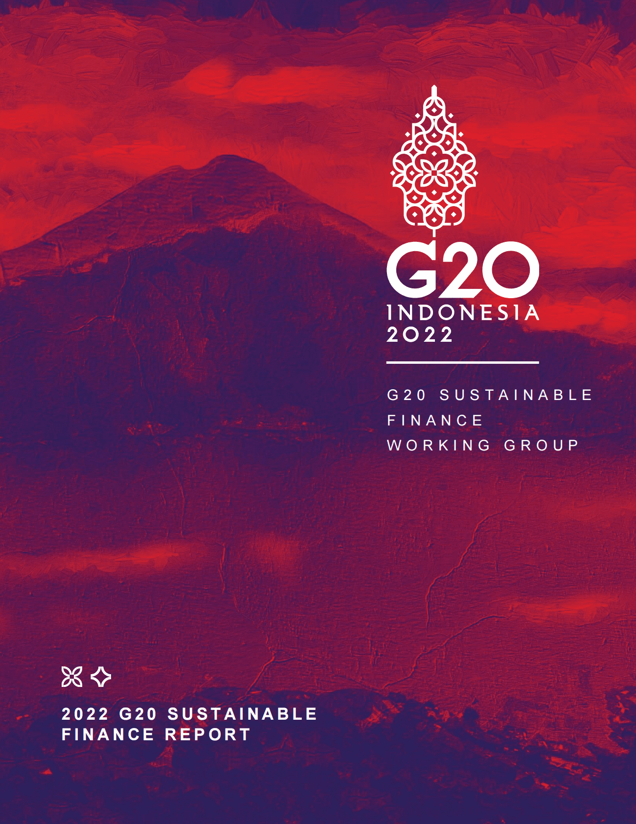 二十国集团（G20）：2022年G20可持续金融报告【英文版】 第1页