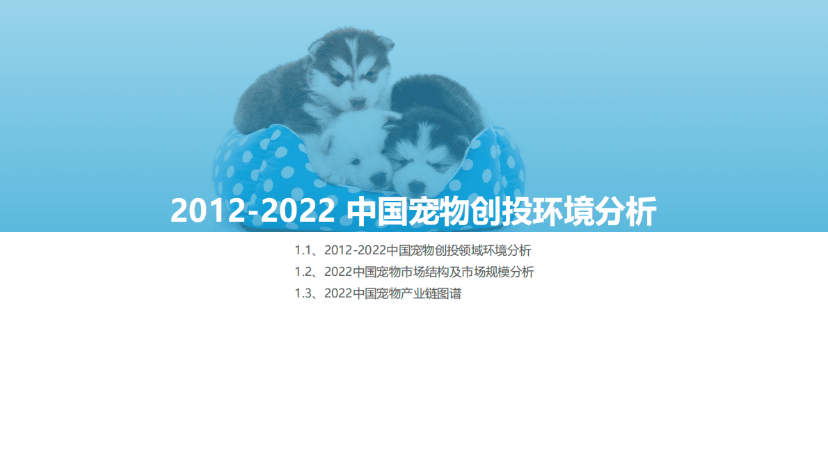 亿欧智库：2012-2022中国宠物创业投资数据分析报告 第4页