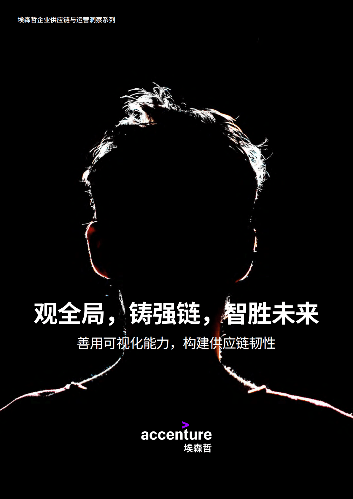 埃森哲：善用可视化能力，构建供应链韧性 第1页