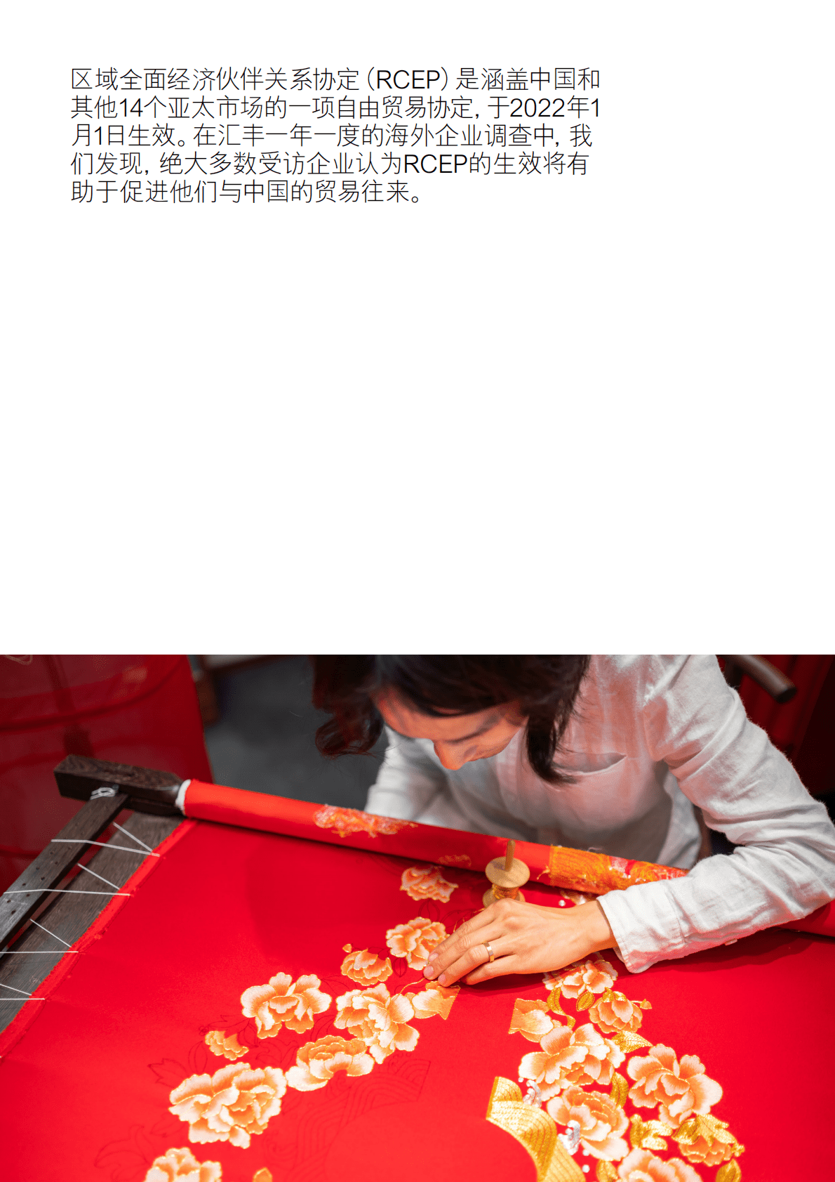 汇丰：海外企业看中国2022&mdash;&mdash;共享RCEP新机遇 第2页