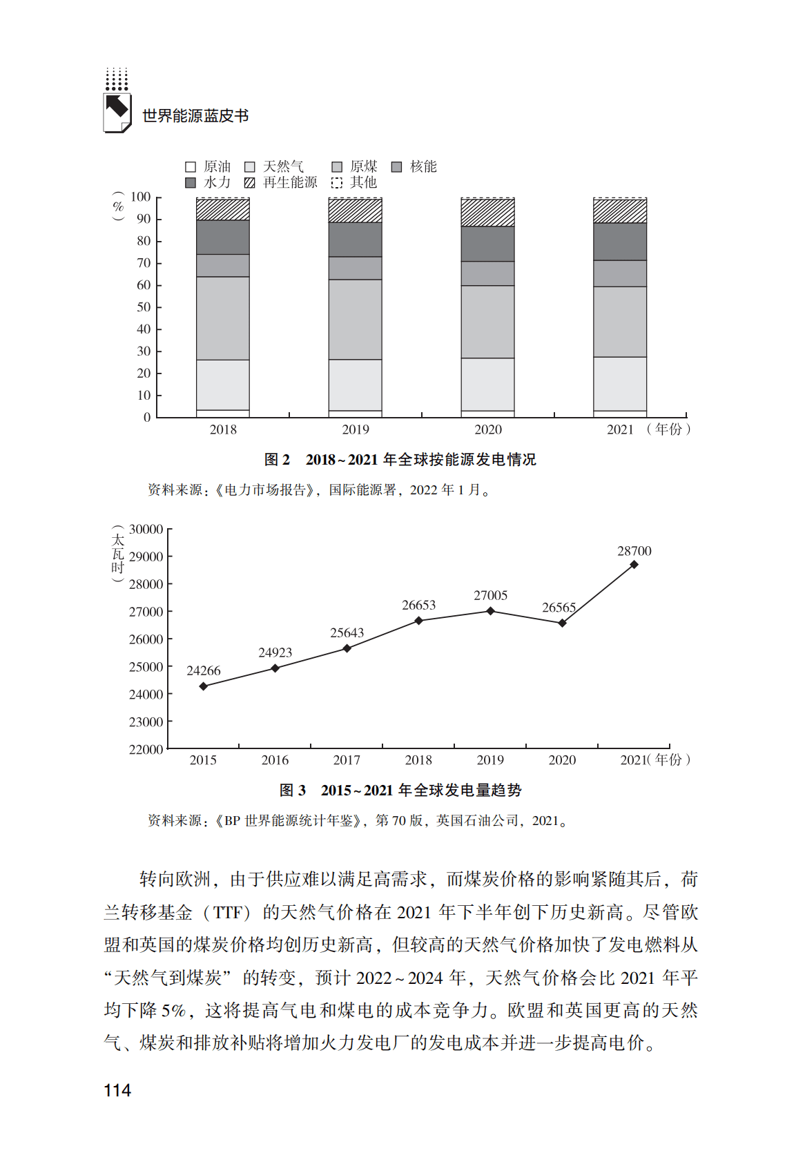 世界能源蓝皮书：2021年世界电力市场：供给、需求与新能源 第5页