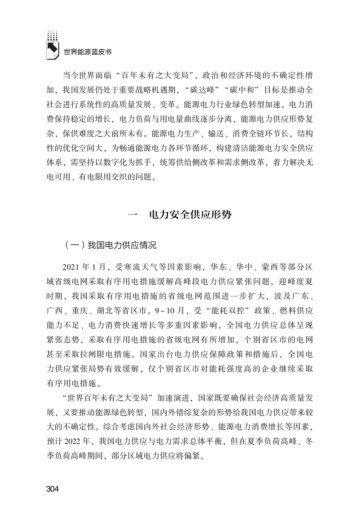 世界能源蓝皮书：数字治理下中国的电力安全供应体系分析 第2页