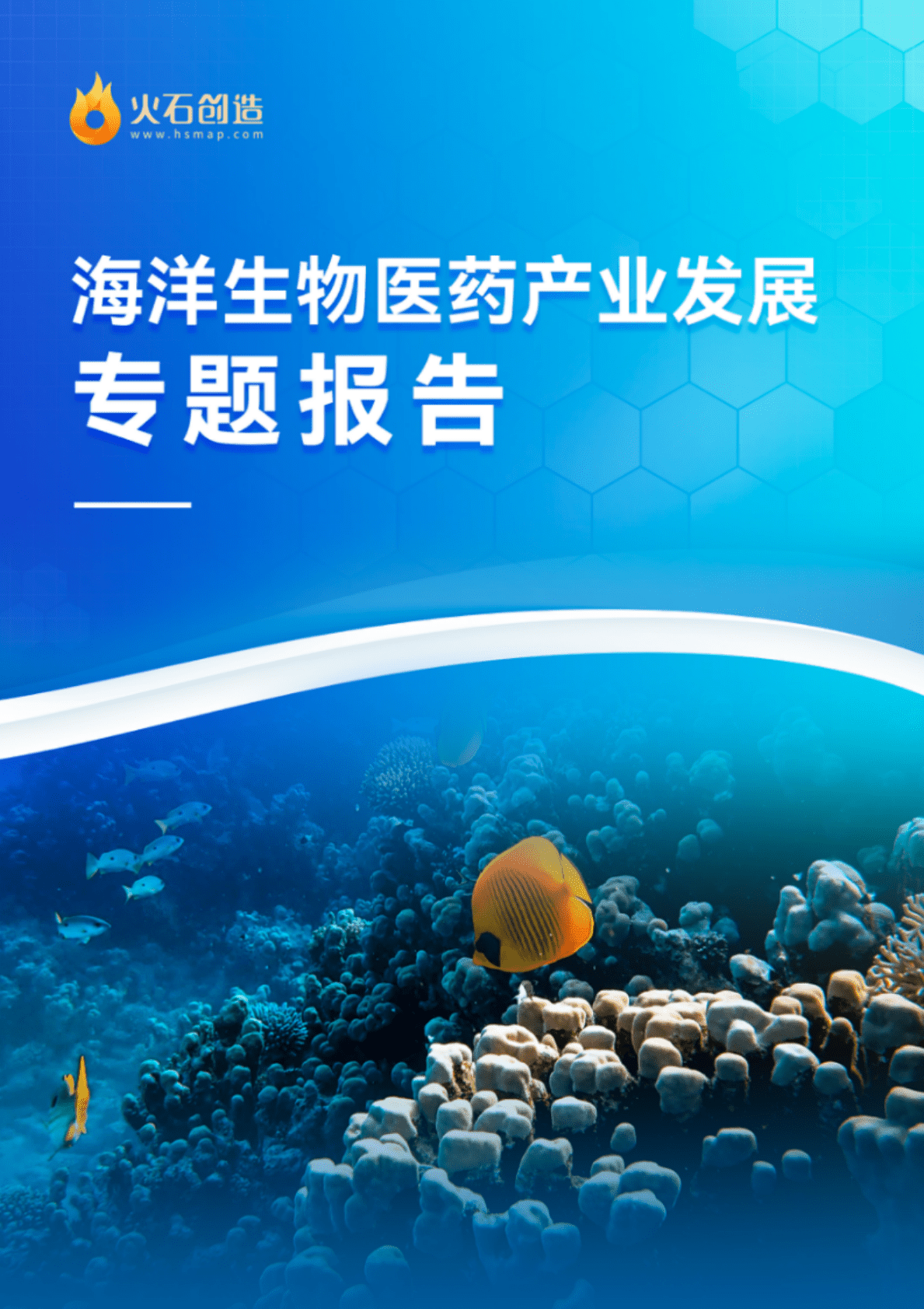 火石创造：海洋生物医药产业发展专题报告 第1页