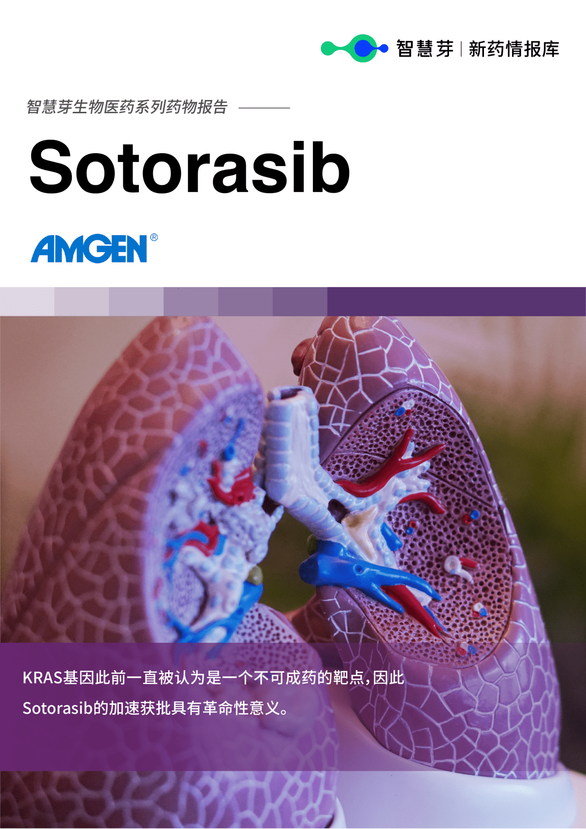 智慧芽：Sotorasib药物报告 第1页